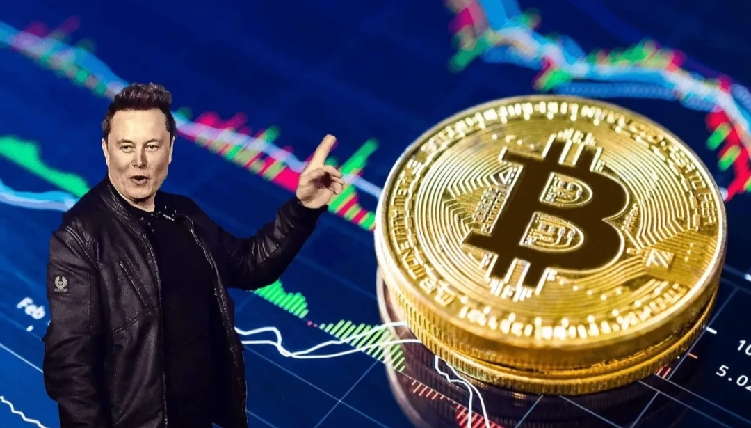 九游体育官方网站-关于马斯克再次发推，ARB瞬间上上扬币安%！的信息