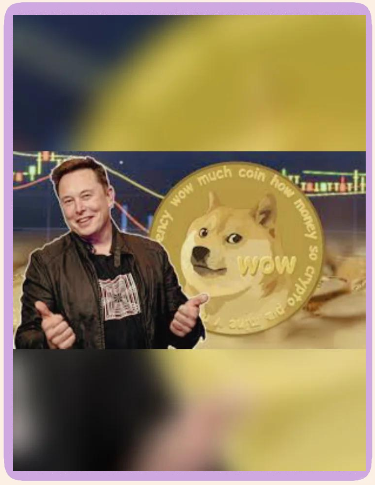 关于马斯克再次发推，ARB瞬间上上扬币安%！的信息